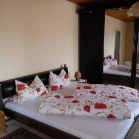 Gasthof Und Pension Mainzer Rad Шветцинген Екстер'єр фото