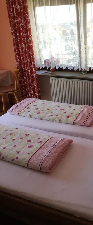 Gasthof Und Pension Mainzer Rad Шветцинген Екстер'єр фото